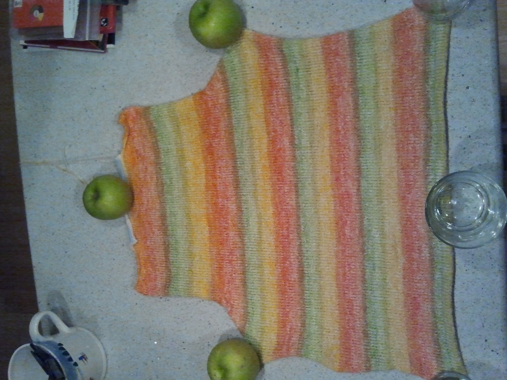 Back of the orange/yellow/green striped cardigan, held down by apples and glasses